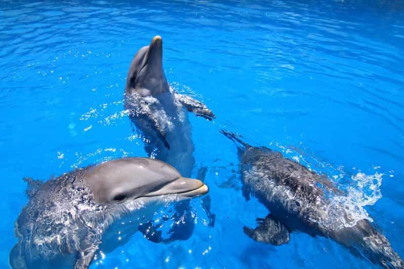 Costa Del Sol Daire Benalmádena Dış mekan fotoğraf